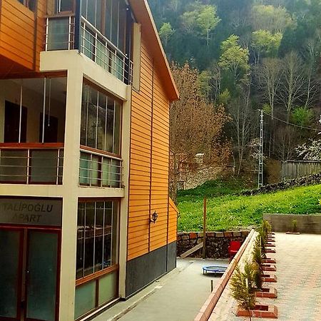Talipoglu Apart Aparthotel Uzungöl Exteriör bild