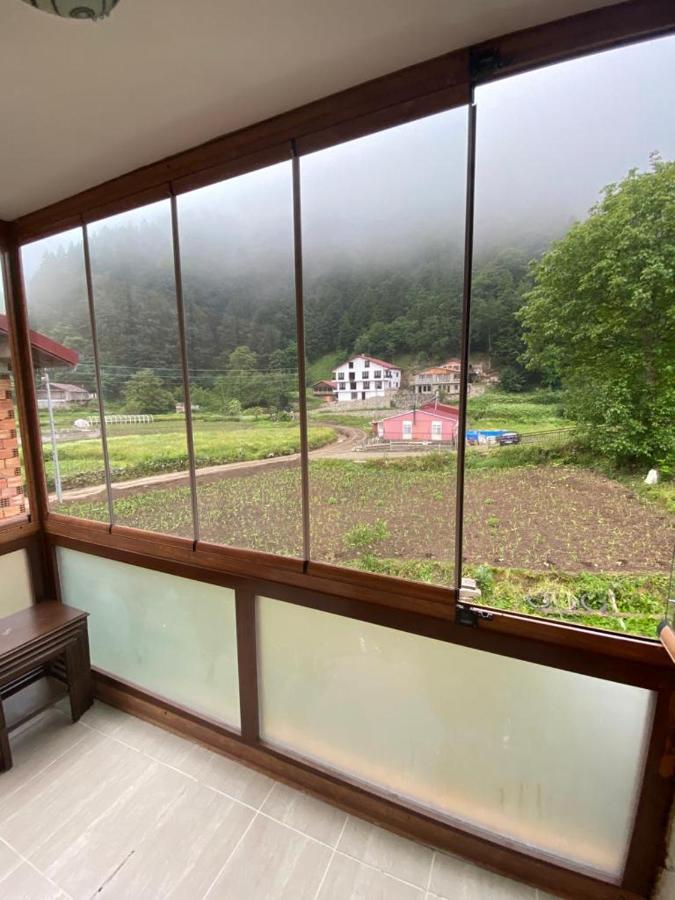 Talipoglu Apart Aparthotel Uzungöl Exteriör bild