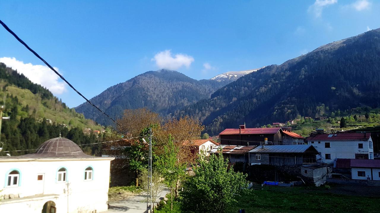 Talipoglu Apart Aparthotel Uzungöl Exteriör bild