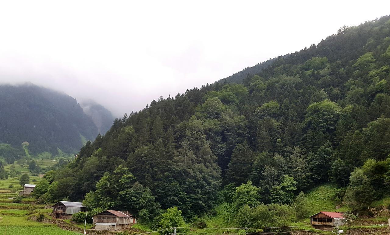 Talipoglu Apart Aparthotel Uzungöl Exteriör bild