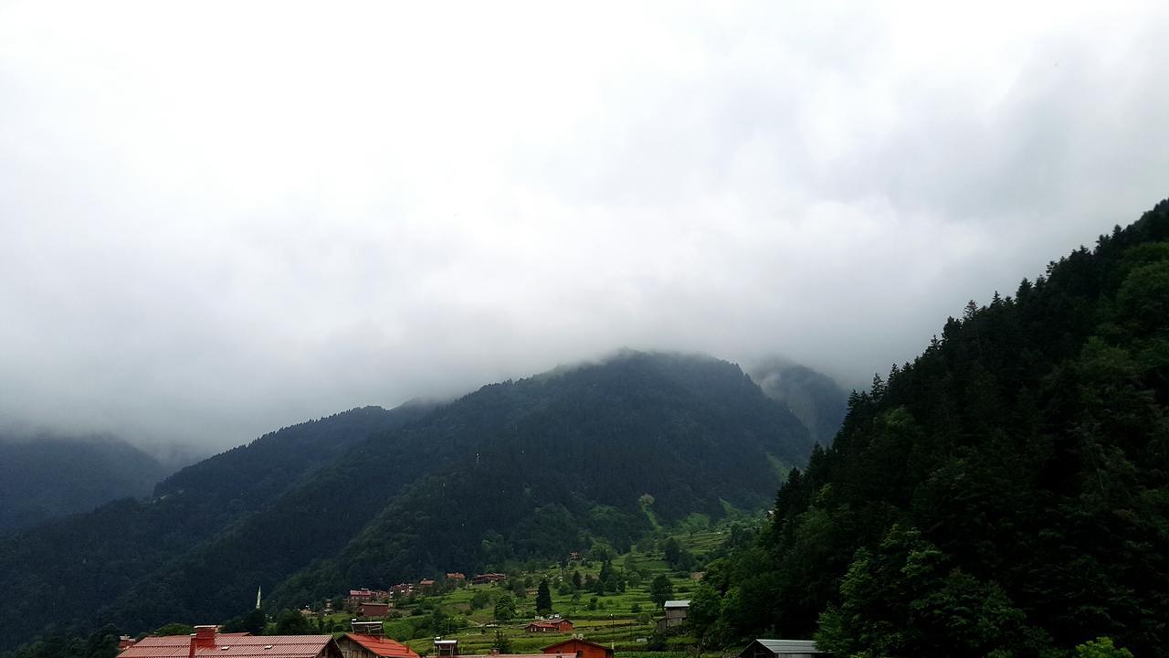 Talipoglu Apart Aparthotel Uzungöl Exteriör bild